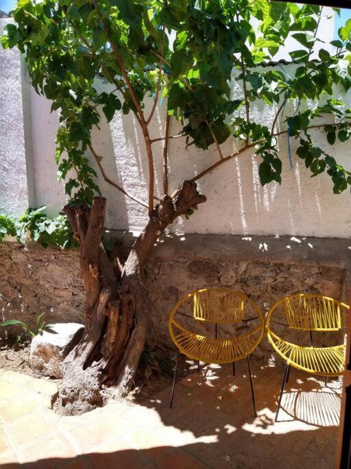 Original Y Comodo Loft En El Centro De Tulancingo Διαμέρισμα Εξωτερικό φωτογραφία